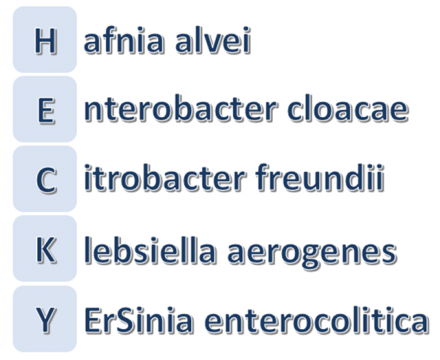 HECK Yes! Get Amp’ed For Updates On AmpC Harboring Bacteria