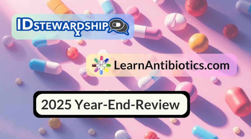 IDstewardship Year End Review 2025